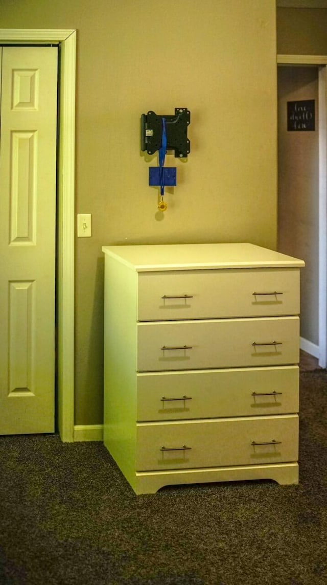921 Woodhurst Dr, Marshfield, MO 65706 - detailed view of carpet