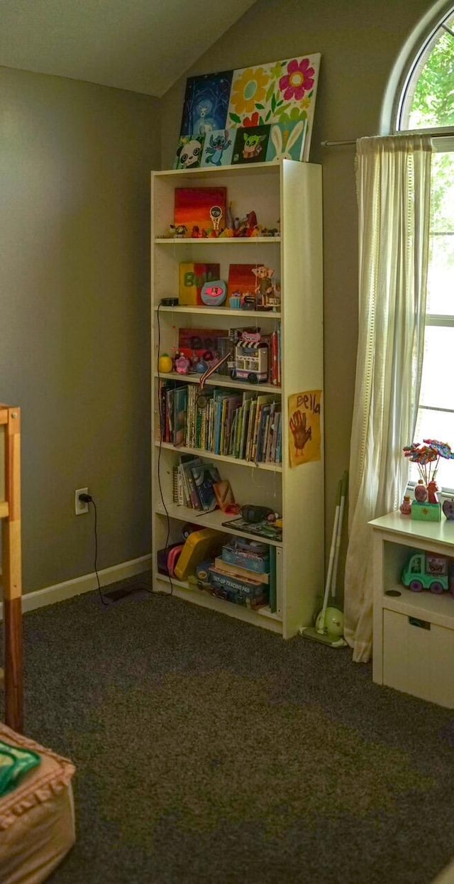 921 Woodhurst Dr, Marshfield, MO 65706 - rec room featuring carpet floors and lofted ceiling