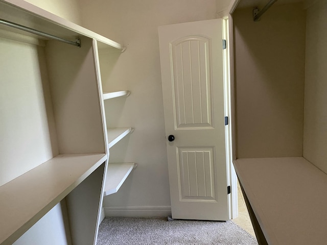 2114 E Finch St, Ozark, MO 65721 - walk in closet with light colored carpet