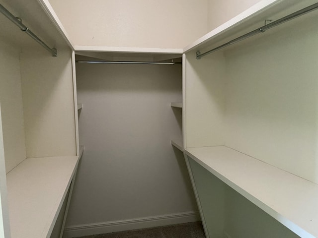 2114 E Finch St, Ozark, MO 65721 - view of spacious closet