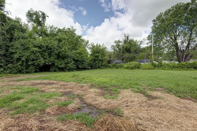 1851 N Patterson Ave, Springfield, MO 65803 - view of yard