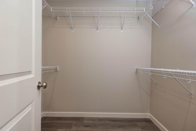 1851 N Patterson Ave, Springfield, MO 65803 - walk in closet with dark wood-style floors