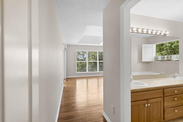 169 Tanner Rd, Branson, MO 65616 - full bath featuring wood finished floors, a garden tub, a tray ceiling, and double vanity