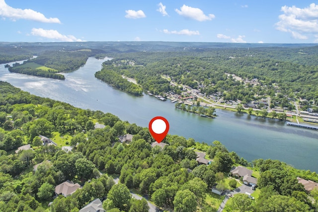 169 Tanner Rd, Branson, MO 65616 - aerial view of property's location with a heavily wooded area and a large body of water