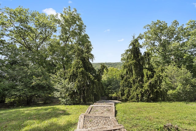 169 Tanner Rd, Branson, MO 65616 - view of grassy yard with a view of trees