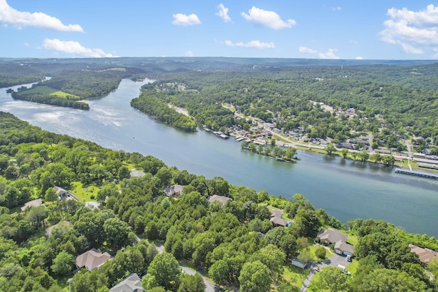 169 Tanner Rd, Branson, MO 65616 - view of property location featuring a forest and a large body of water