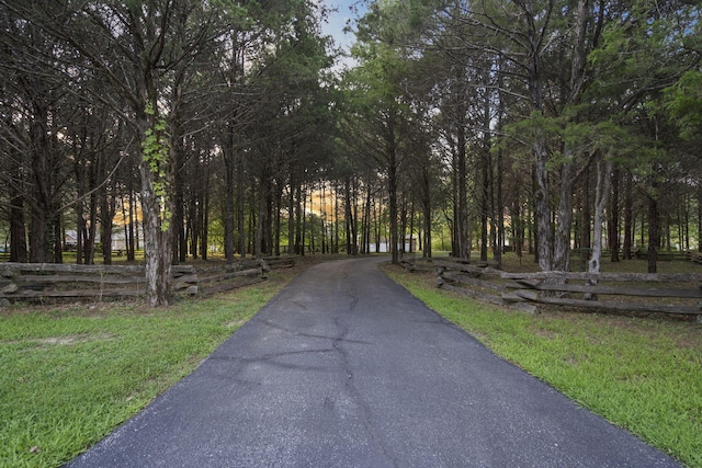 169 Tanner Rd, Branson, MO 65616 - photo 74