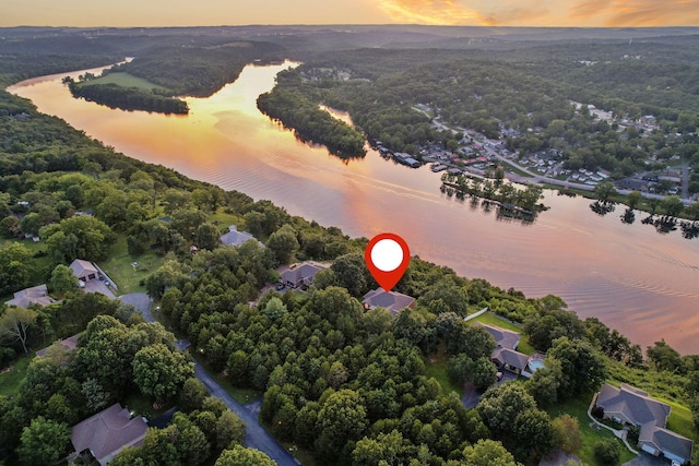 169 Tanner Rd, Branson, MO 65616 - photo 33