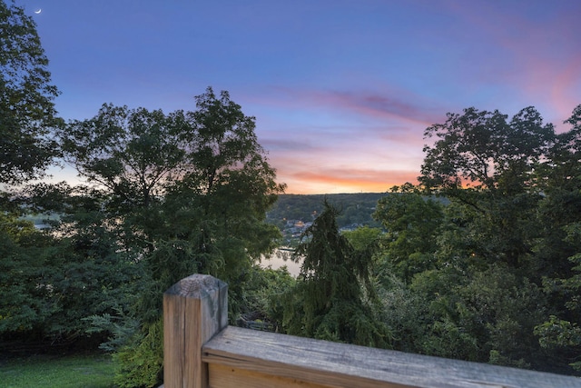 169 Tanner Rd, Branson, MO 65616 - photo 78