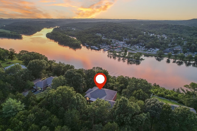 169 Tanner Rd, Branson, MO 65616 - photo 37