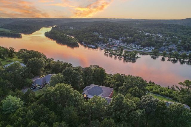169 Tanner Rd, Branson, MO 65616 - photo 36