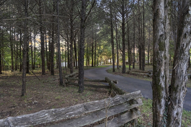 169 Tanner Rd, Branson, MO 65616 - photo 73