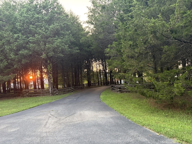 169 Tanner Rd, Branson, MO 65616 - photo 82