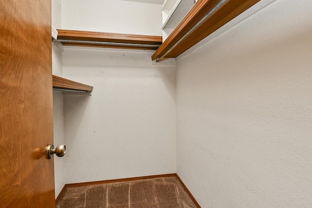 3642 N Olive Ct, Springfield, MO 65803 - spacious closet featuring carpet flooring