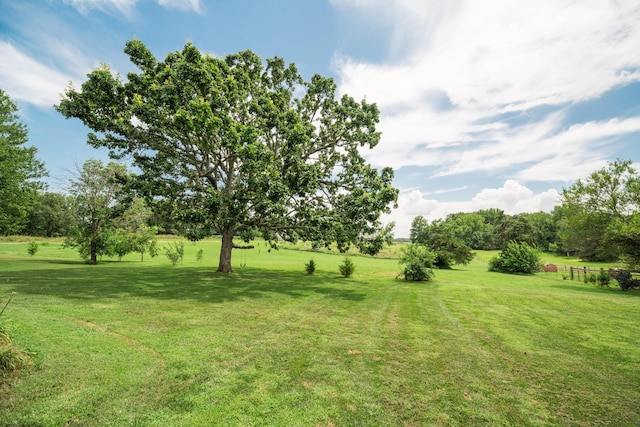 5724 E Mill St, Springfield, MO 65802 - photo 63