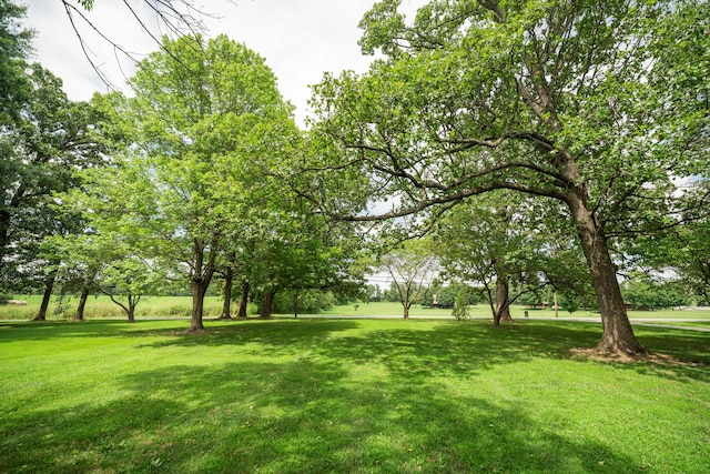 5724 E Mill St, Springfield, MO 65802 - photo 64