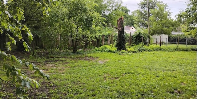 1885 N Lyon Ave, Springfield, MO 65803 - view of yard