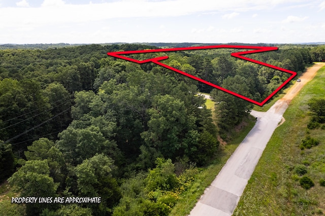 aerial view of property's location with a forest and property boundaries highlighted