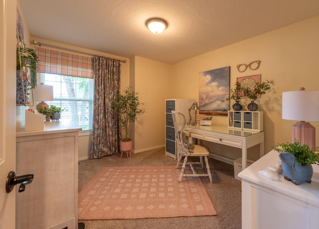 1021 W Whiteside St, Springfield, MO 65807 - carpeted office with baseboards