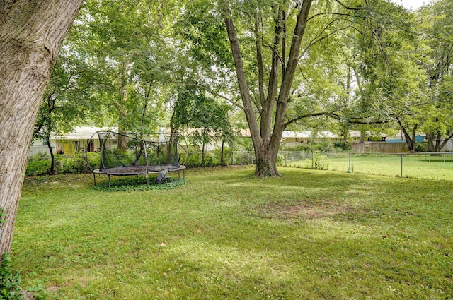 303 E Berkeley St, Springfield, MO 65807 - fenced backyard featuring a trampoline