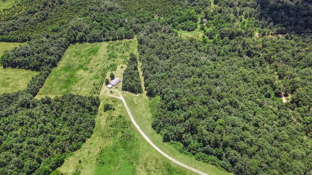 6416 US Highway 60, Mountain View, MO 65548 - photo 7