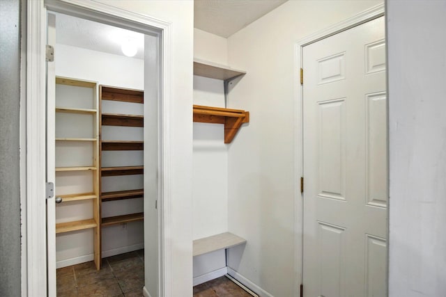 184 Crestwood Dr, Marshfield, MO 65706 - view of walk in closet
