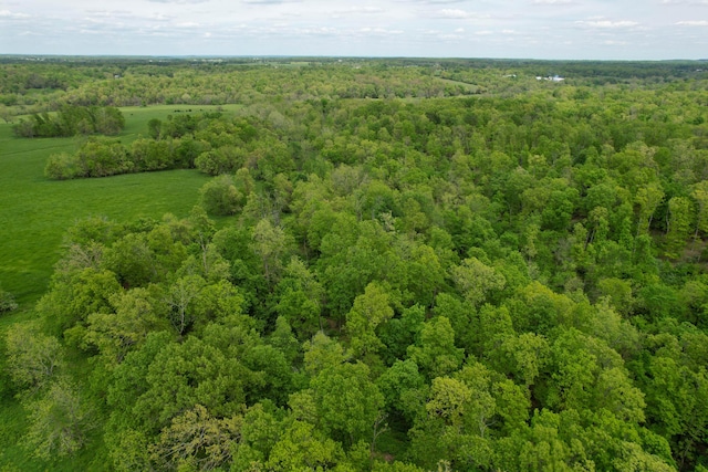 000 State Highway K, Seymour, MO 65746 - photo 3