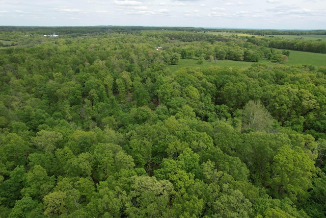 000 State Highway K, Seymour, MO 65746 - photo 4
