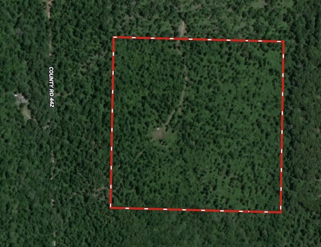 0 County Road 444, Redford, MO 63665 - photo 2