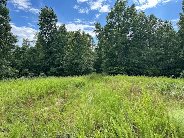 0 County Road 444, Redford, MO 63665 - photo 6