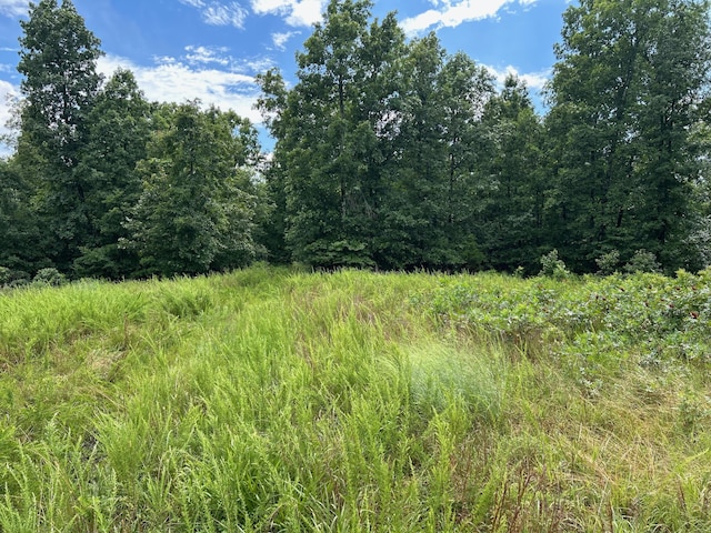 0 County Road 444, Redford, MO 63665 - photo 1
