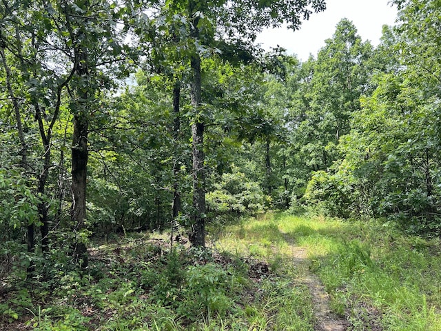 0 County Road 444, Redford, MO 63665 - photo 8