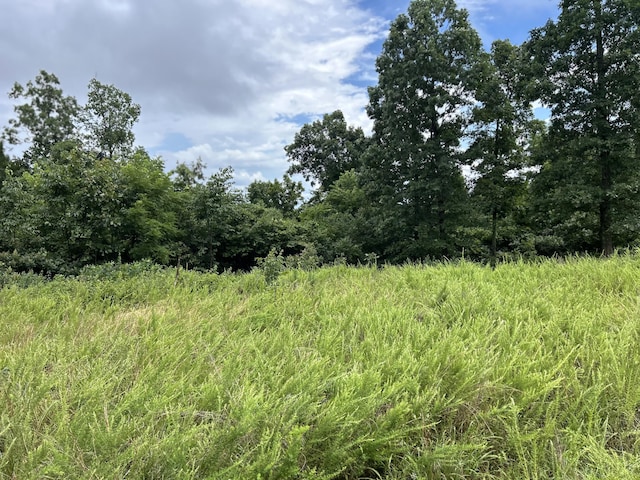 0 County Road 444, Redford, MO 63665 - photo 5