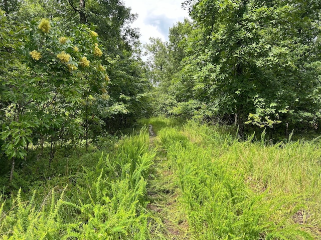0 County Road 444, Redford, MO 63665 - photo 7