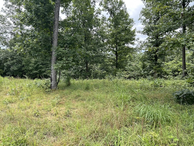 0 County Road 444, Redford, MO 63665 - photo 4