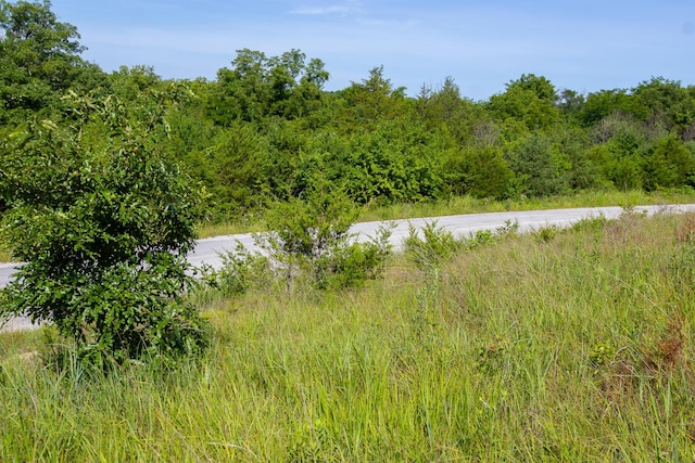 000 S 156th Rd, Brighton, MO 65617