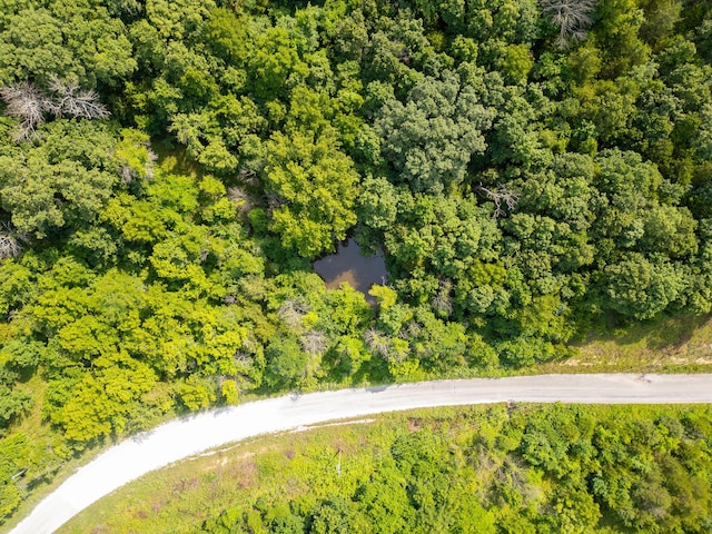 000 S 156th Rd, Brighton, MO 65617