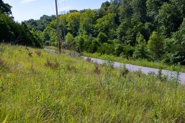 000 S 156th Rd, Brighton, MO 65617
