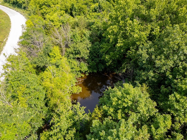 000 S 156th Rd, Brighton, MO 65617