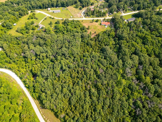 000 S 156th Rd, Brighton, MO 65617