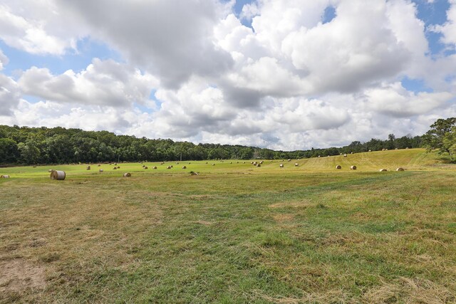 000 Farm Rd Unit 2020, Crane, MO 65633 - photo 14