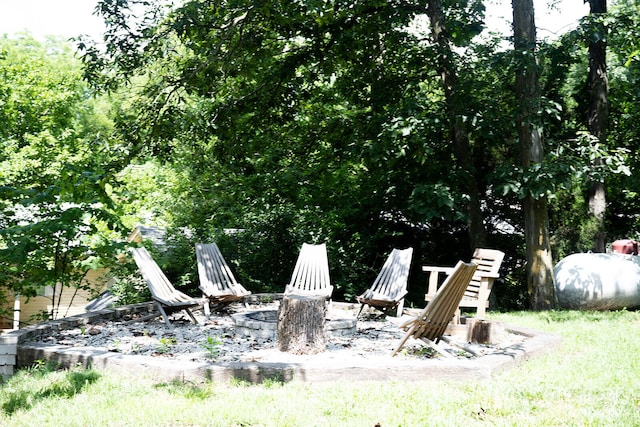 26404 Fisher Cove Ln, Pittsburg, MO 65724 - photo 4