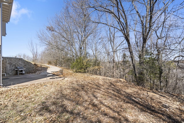 996 Seveno Ridge Rd, Highlandville, MO 65669 - photo 48