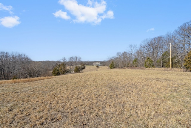 996 Seveno Ridge Rd, Highlandville, MO 65669 - photo 56