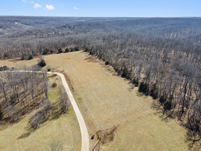 996 Seveno Ridge Rd, Highlandville, MO 65669 - photo 52