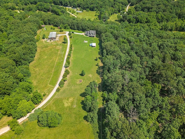 996 Seveno Ridge Rd, Highlandville, MO 65669 - photo 49