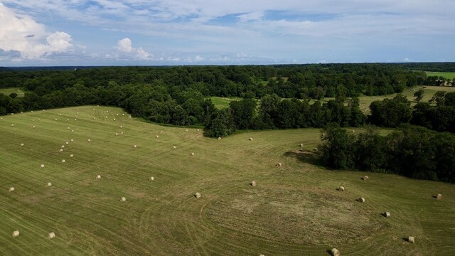 000 Greenbriar Dr, Pierce City, MO 65723 - photo 2