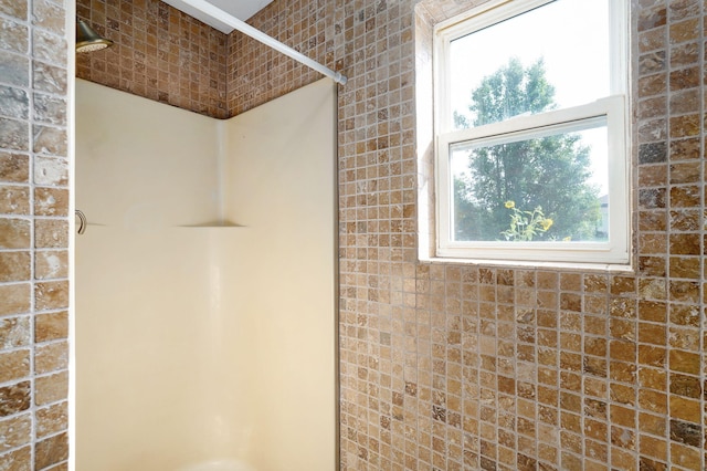 2001 S 16th Ave, Ozark, MO 65721 - bathroom featuring a shower