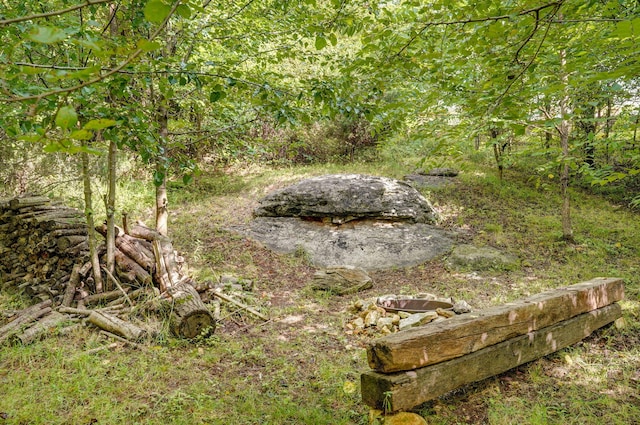 2001 S 16th Ave, Ozark, MO 65721 - view of yard