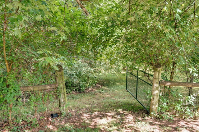 2001 S 16th Ave, Ozark, MO 65721 - view of yard